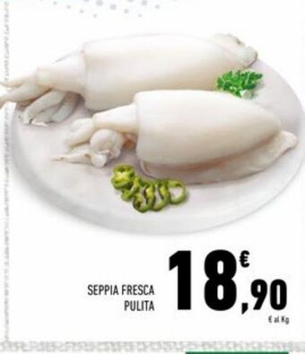 Conad Superstore Seppia fresca pulita offerta