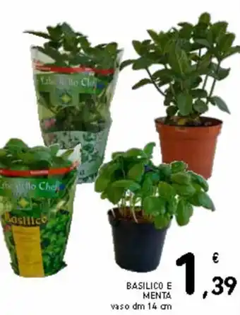 Spazio Conad Basilico e menta vaso dm 14 cm offerta