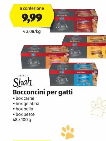 ALDI Bocconcini per gatti shah offerta