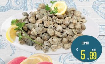 Lupini