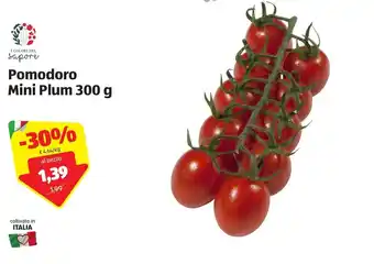 ALDI I Colori del Sapore Pomodoro Mini Plum 300g offerta