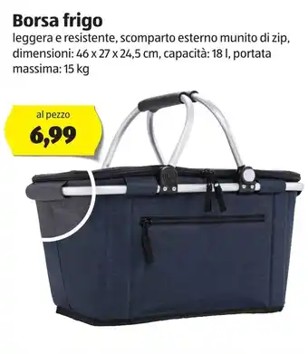 ALDI Borsa frigo 46x27x24,5cm 18L offerta