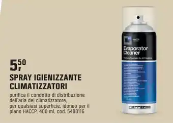 Spray igienizzante climatizzatori