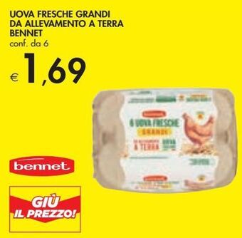 Bennet Uova fresche grandi da allevamento a terra bennet offerta
