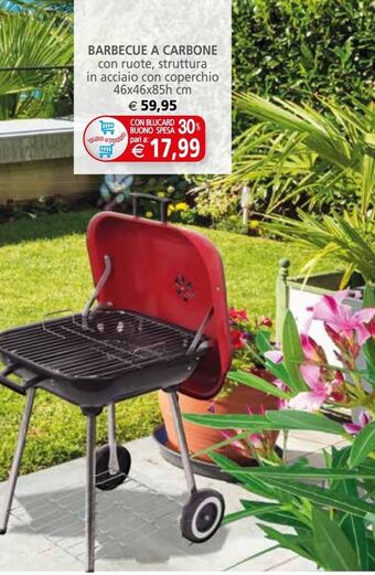 Il Gigante Barbecue a carbone offerta