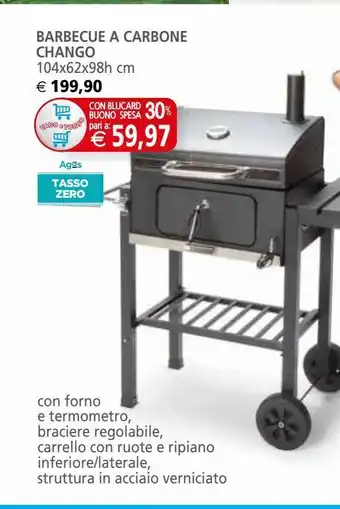 Barbecue a carbone chango