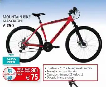 Il Gigante Mountain bike masciaghi offerta