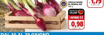 Cipolle rosse di tropea 500g