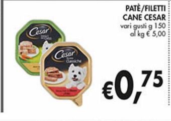 Paté/filetti cane cesar