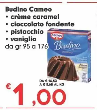 Budino cameo