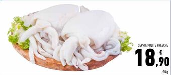 Conad Seppie pulite fresche offerta
