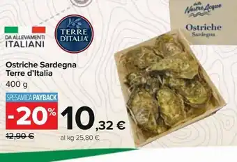 Carrefour Iper Ostriche terre d'italia offerta