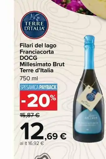 Carrefour Market Filari del lago franciacorta docg millesimato brut terre d'italia offerta
