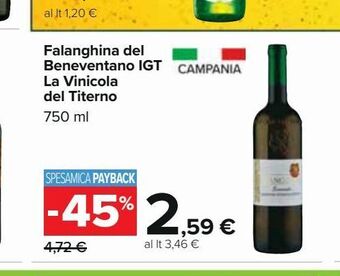 Falanghina del beneventano igt la vinicola del titerno