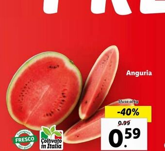 Lidl Anguria offerta