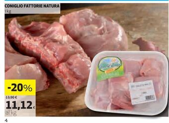 Coniglio fattorie natura