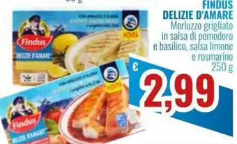 Findus Delizie d'Amare 250 g