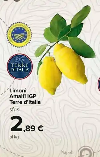 Limoni amalfi igp terre d'italia