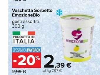 Carrefour Iper Vaschetta sorbetto emozionebio offerta