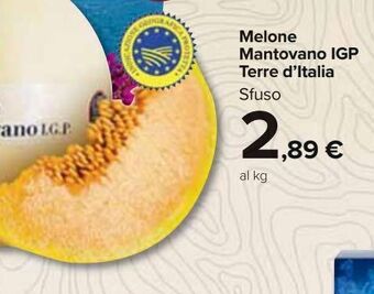 Melone mantovano igp terre d'italia