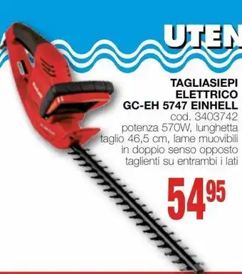 Mondo Brico Tagliasiepi einhell offerta