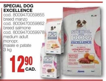 Mondo Brico Special dog excellence offerta