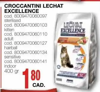 Croccantini le chat