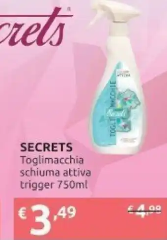 Secrets Toglimacchia schiuma attiva trigger 750 ml
