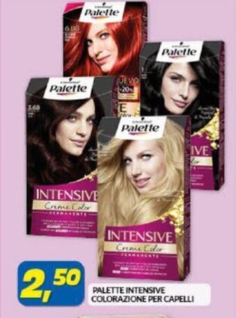 Risparmio Casa Palette Intensive colorazione per capelli offerta