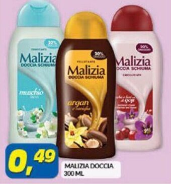 Risparmio Casa Malizia Doccia 300 ml offerta