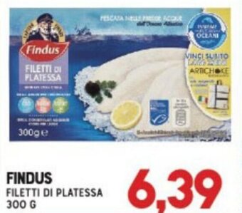 Gran Risparmio Findus Filetti di Platessa 300 g offerta