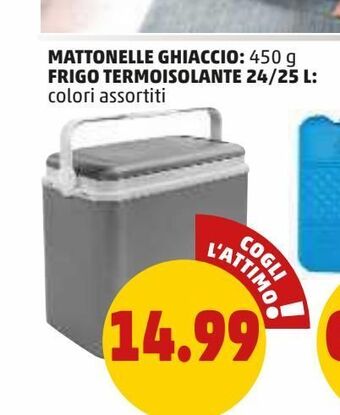 Frigo termoisolante 24/25 l