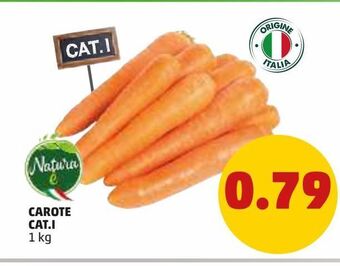 PENNY Carote cat i offerta