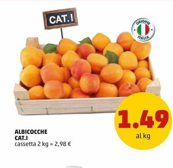 PENNY Albicocche offerta