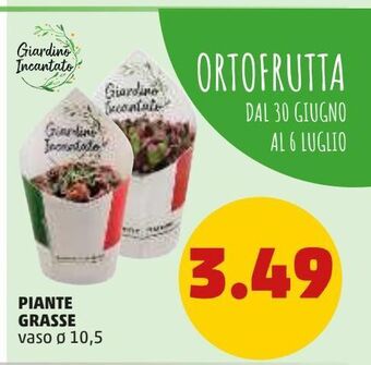 PENNY Piante grasse offerta