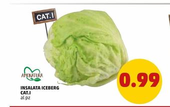 PENNY Insalata iceberg offerta