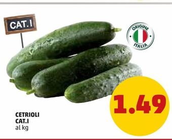 PENNY Cetrioli offerta