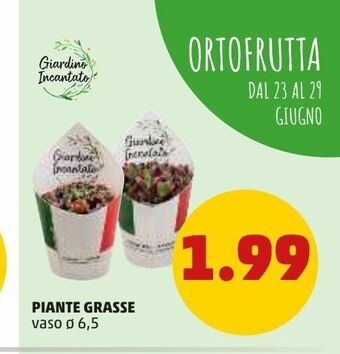 PENNY Piante grasse offerta
