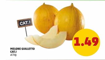 PENNY Melone gialletto offerta