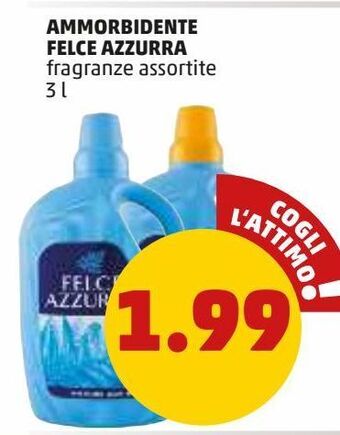 PENNY Ammorbidente felce azzurra offerta