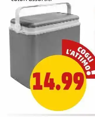 PENNY Frigo portatile offerta