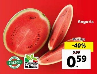 Lidl Anguria offerta