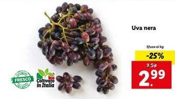 Lidl Uva nera offerta