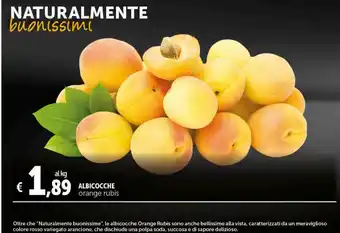 Albicocche