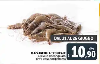 Deco Superstore Mazzancolle tropicale offerta