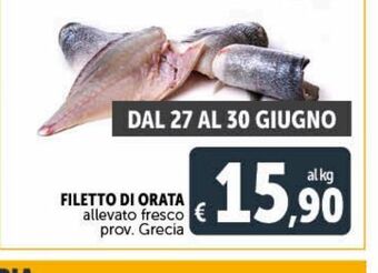 Deco Superstore Filetto di orata offerta