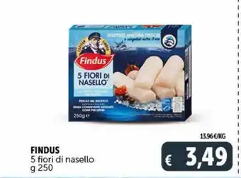 Deco Superstore Findus 5 fiori di nasello offerta