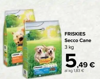 Carrefour Iper Friskies secco cane 3 kg offerta