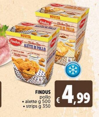 Deco Superstore Findus pollo offerta