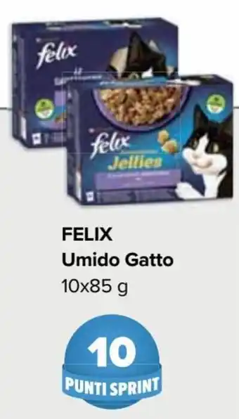 Felix Umido Gatto 10x85 g